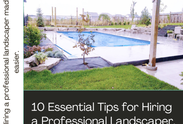 10 Tips for Hiring a Professional Landscaper in Milton